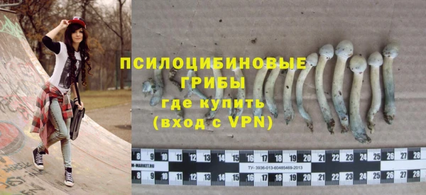 apvp Алексеевка