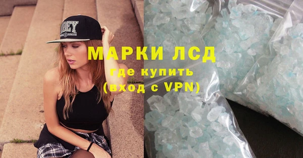 дмт Алзамай