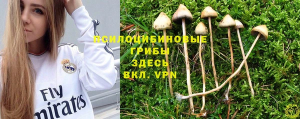 гидра Алексин